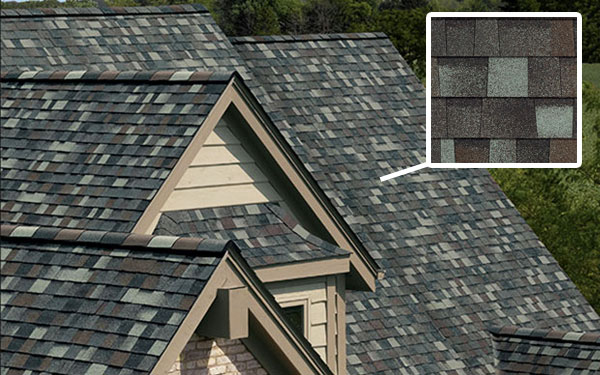 Shingle roof